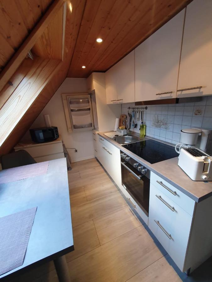 Ferienwohnung Haenel Antonshohe Exterior photo